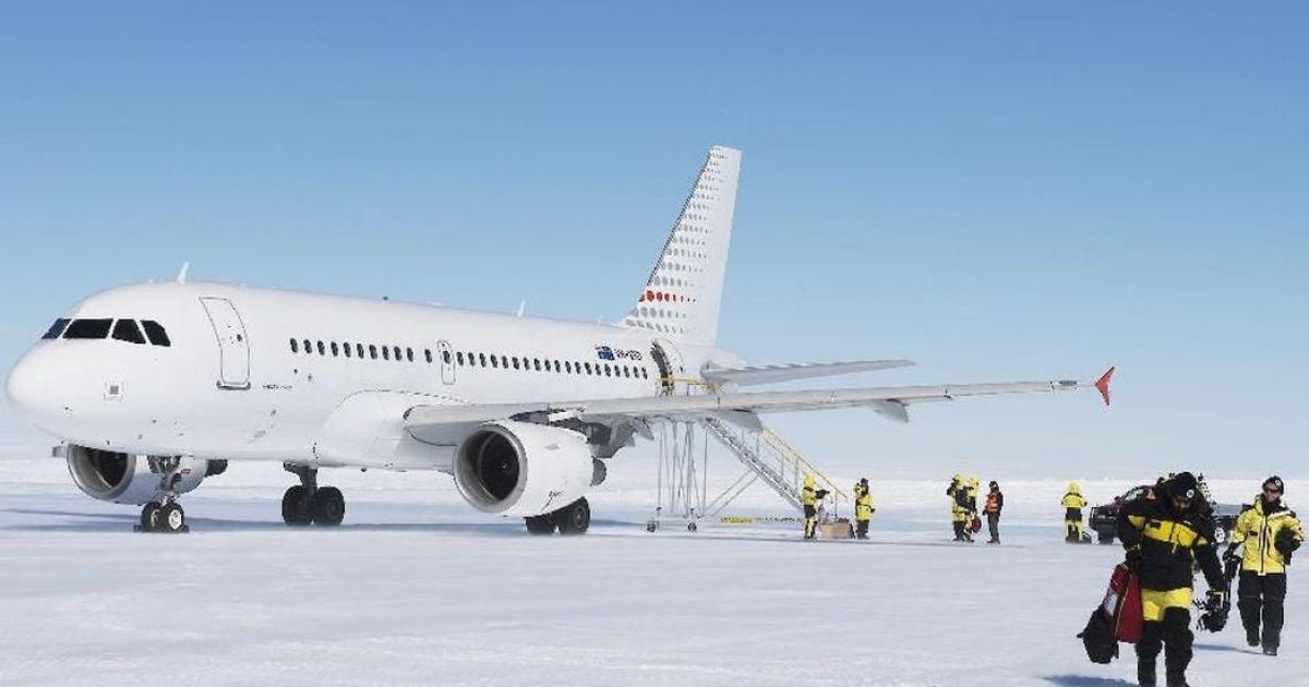 Gaji Bukan Kaleng-kaleng! Lowongan Kerja di Antarktika Dibuka BAS untuk Tahun 2026, Cek Yuk!