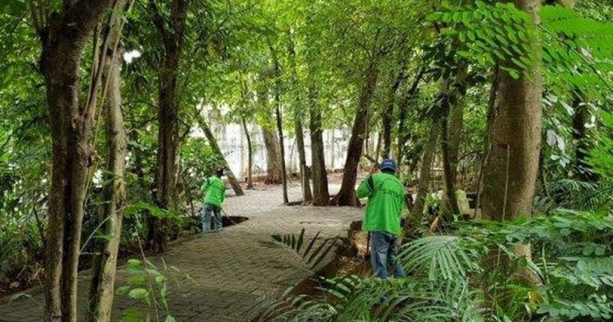 7 Rekomendasi Hutan Kota Terbaik di Jakarta 2026 untuk Melepas Penat