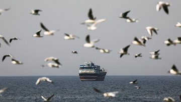 Kapal melintasi Selat Hormuz (dok. REUTERS/Amr Alfiky)