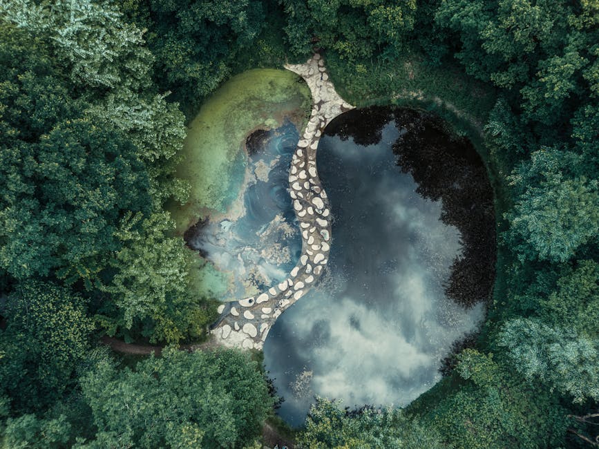 Harmoni Penyembuh: Rahasia Frekuensi Musik dalam Menjaga Kesehatan Mental