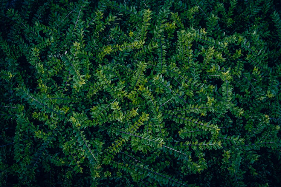 Sinergi Akademis dan Profesional: Fondasi Kokoh Menuju Puncak Karier