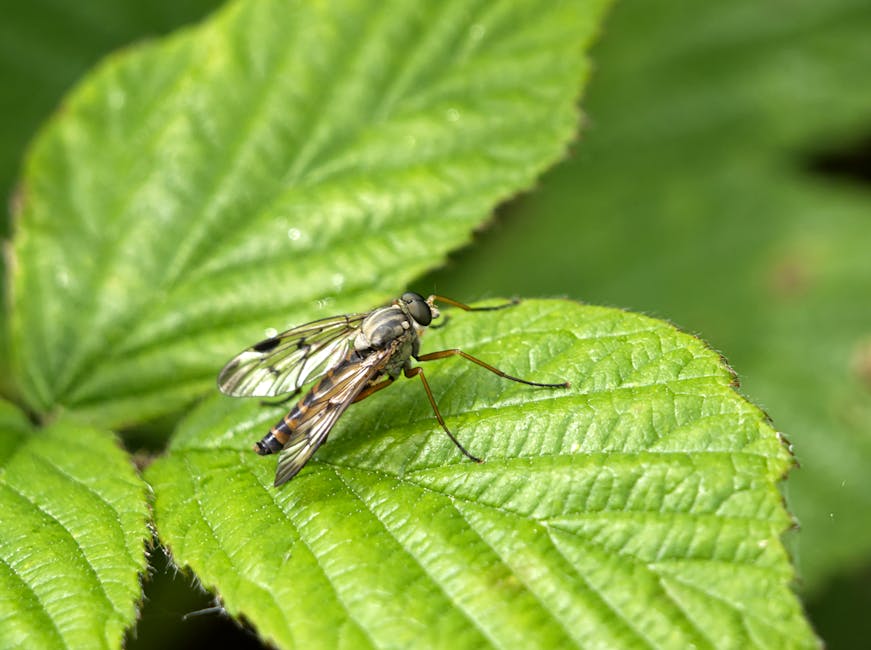Transformasi Spiritual: Mengoptimalkan Kualitas Ibadah di Bulan Suci